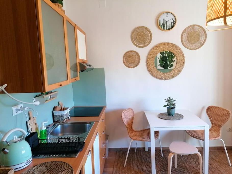 Appartamento Studio Apartman Cactus Zagabria Esterno foto