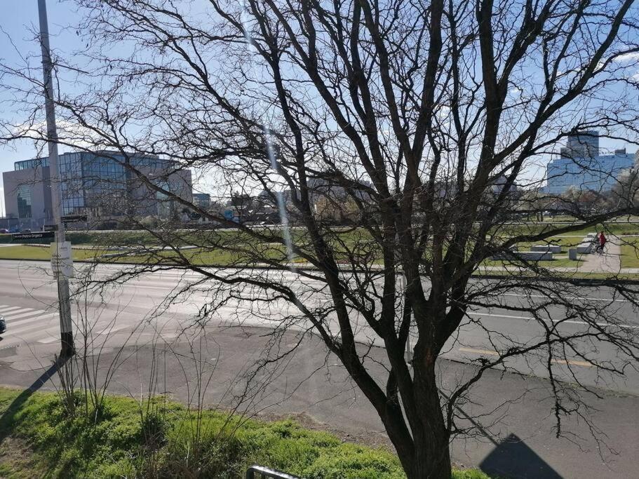 Appartamento Studio Apartman Cactus Zagabria Esterno foto