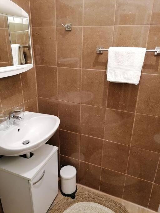 Appartamento Studio Apartman Cactus Zagabria Esterno foto